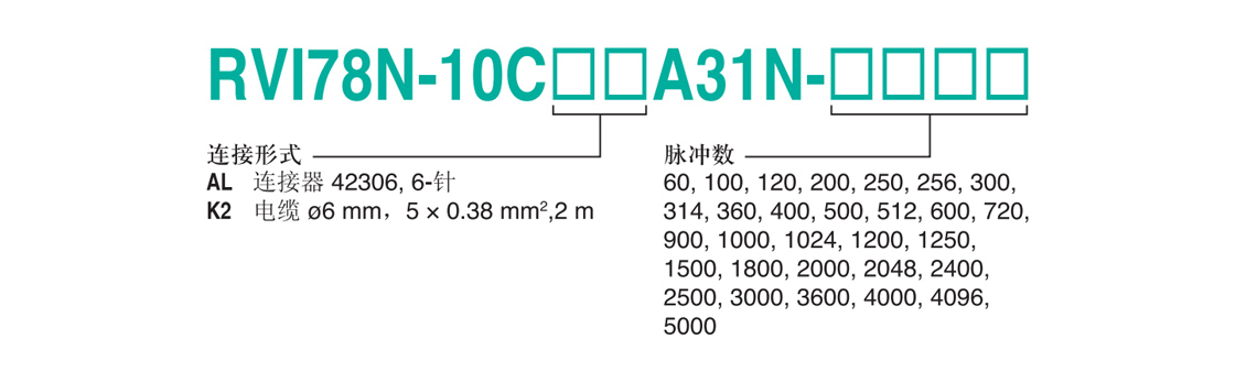 RVI78N-10CK2A31N-1024